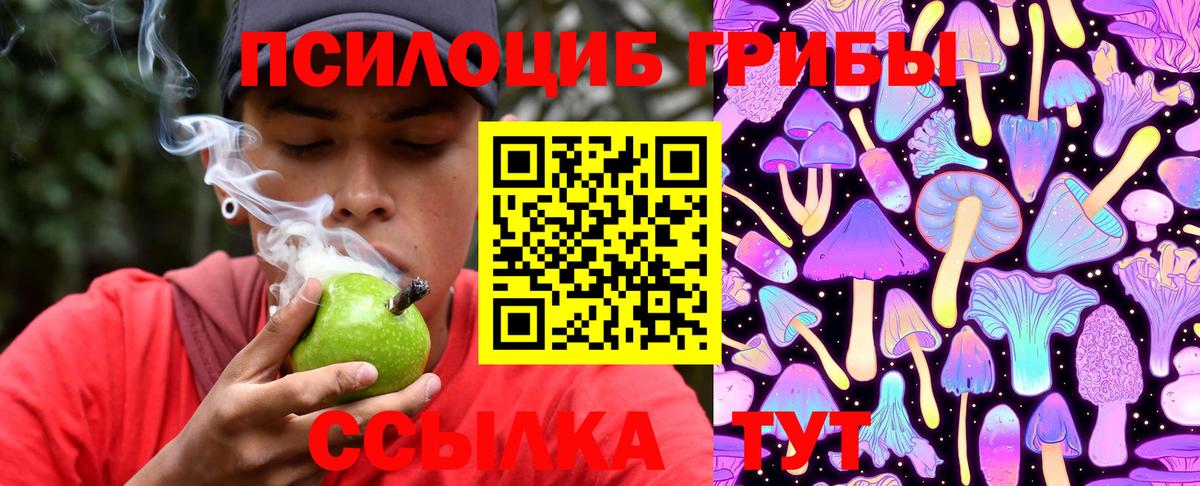 Псилоцибиновые грибы Psilocybine cubensis Елец