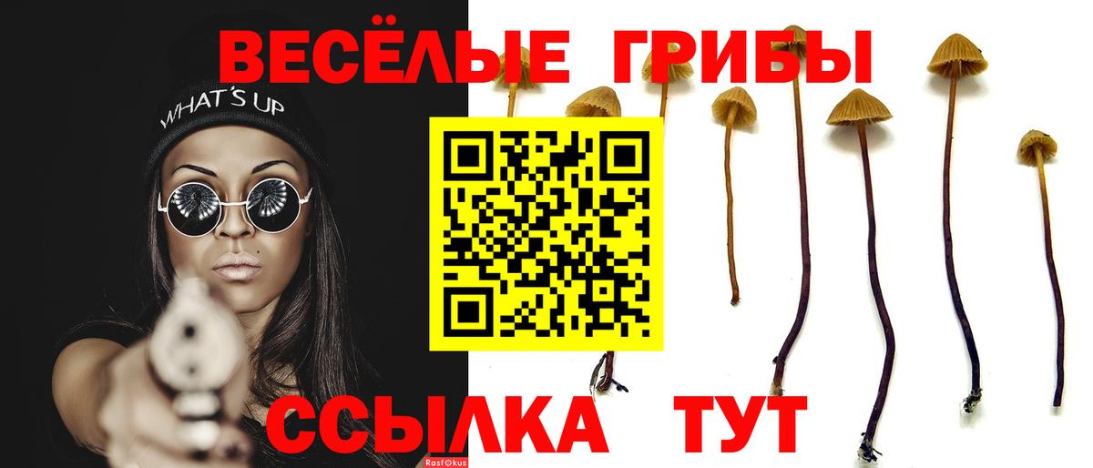 Галлюциногенные грибы Cubensis  Вход с VPN  Елец 